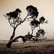 Stephen Yao's photo