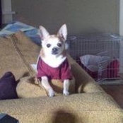 Melissa Thornton's photo