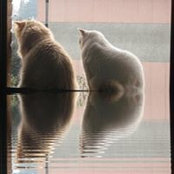 Rossana Venti's photo