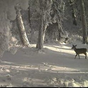 Lisa Dobberman's photo