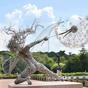 Suzanne Kohr's photo