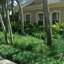 modern Landscaping