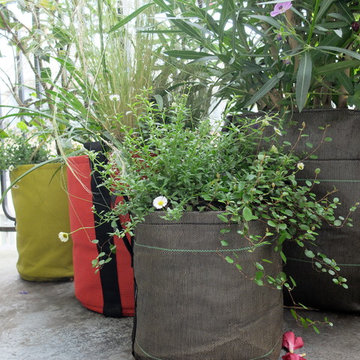 Un balcon filant à Paris Saint Germain...