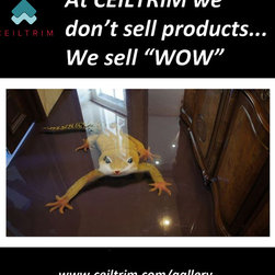 The "WOW" Series 76 - 100 - Products