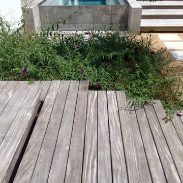 Bellaire Modern Landscape