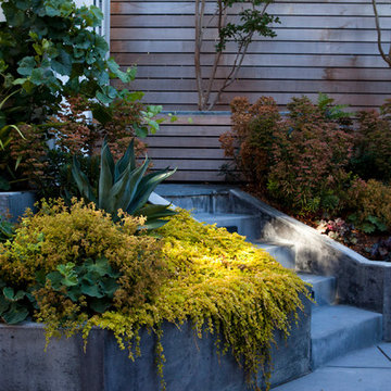 Oakland Rockridge Garden