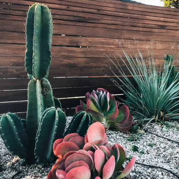 Contemporary Rancher Landscaping Update