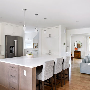 Fanshaw - Whole Home Renovation and Two-Story Addition