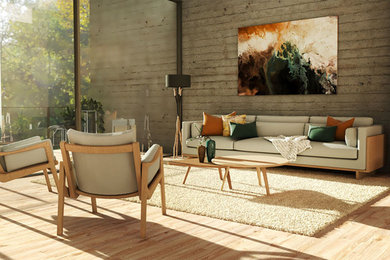 Interior design project for a natural living room