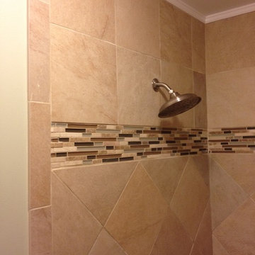 Daly Bathroom Remodel / Mold Removal