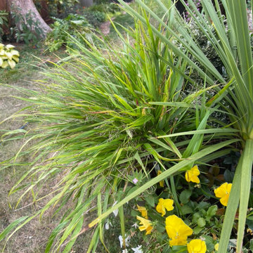 LANDSCAPE - Container Gardens