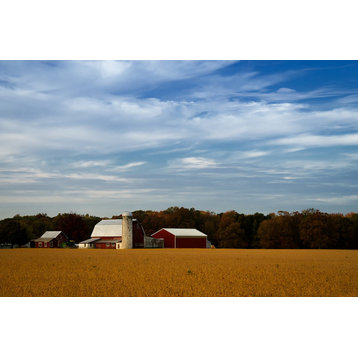 Wall Art Modern Farmhouse: Red Barn Golden Field Color Photo Unframed, 16" X 20"