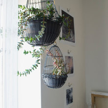Vanessa's ideas