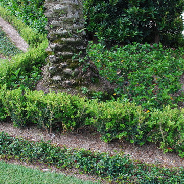 Rood Landscape Projects