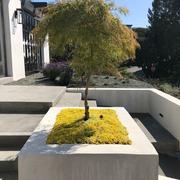 Laurel Hills
