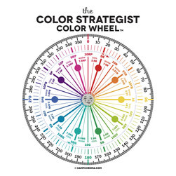 The Color Strategist Color Wheel - Paint