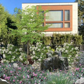 Foundation Plantings