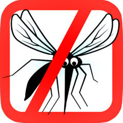 ТОП-5 средств для обработки дачного участка от комаров