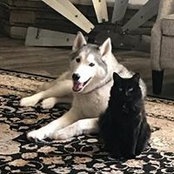 Patti Cook's photo
