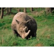 Uri Baqueiro's photo