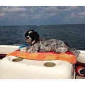 Pamela Danyluck's photo