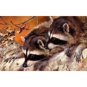 Denise Odom-Rogers's photo