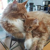 Michelle Russo's photo