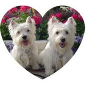 Tish Simpson's photo