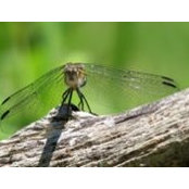 Shirley Keeton's photo