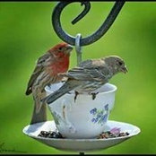 Robyn Nicholl's photo