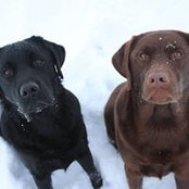 Kevin Tutt's photo