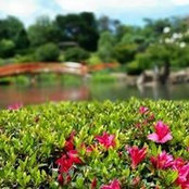 Karyn Kong's photo