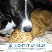 Carrie Czark's photo