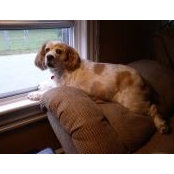 Jennifer Strickler Lemin's photo