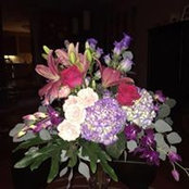 Shannon Phillips's photo