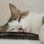 Teresa Pinto's photo