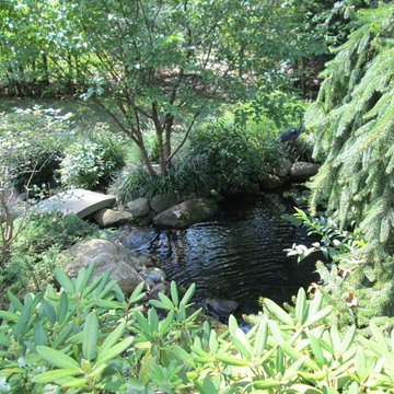 Water Features