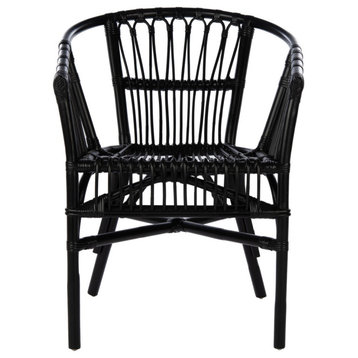 Safavieh Adriana Rattan Accent Chair, Set of 2, Black, Black