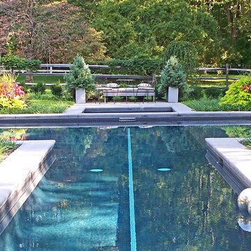 Contemporary Pool Garden