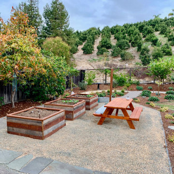 Fremont Landscape Transformation