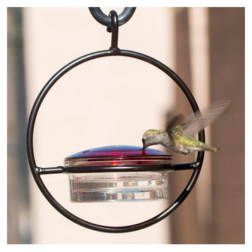 Small Hanging Hummingbird Feeder, Beautiful Glass & Decorative Metal Design