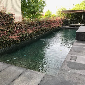 Un lago para nadar