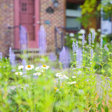 Neglected Landscape Turns into Pollinator Paradise