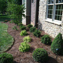 lawn