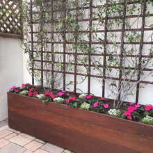 Front Patio