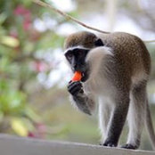 Ben Jones's photo