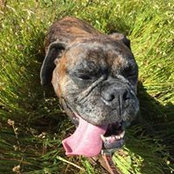 Dave Burke's photo