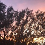 Emma Smith's photo