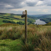 Phil Bennett's photo