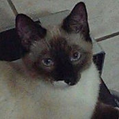 Foto de L H
